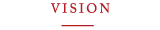VISION